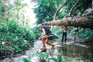 BIB: 
                            <button type="button" onclick="openModal(25434795)" class="btn btn-primary btn-sm float-right btn-popup" data-toggle="modal" data-target=".modal-high-quality">
                        <i class="fas fa-shopping-cart"></i> Add to Cart
                    </button>
                                            <button type="button" onclick="isThisMe(25434795, true)" class="btn btn-success btn-sm float-right btn-popup btn-isme hidden" data-toggle="tooltip" data-placement="bottom" title="นี่คือรูปของคุณใช่ไหม คลิกที่นี่เพื่อเอาเข้าอัลบั้ม">
                        <i class="fas fa-plus"></i> Add to album
                    </button>
                    <button type="button" onclick="isThisMe(25434795, false)" class="btn btn-warning btn-sm float-right btn-popup btn-isnotme hidden">
                        <i class="fas fa-ban"></i> Remove from album
                    </button>